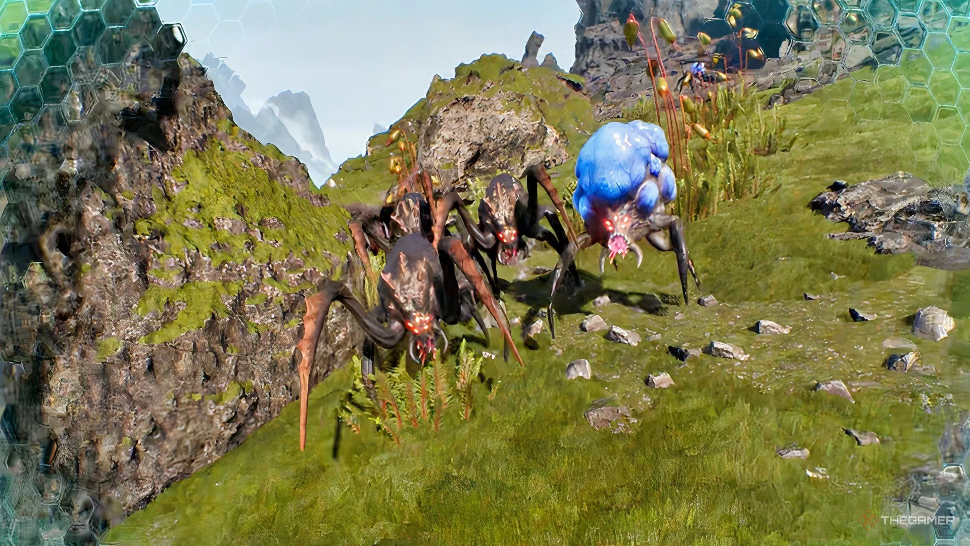 年美加墨世,界杯门票购,买攻略,2026FIFA世界杯主办国,2026FIFA世界杯,2026,年世界杯赛程