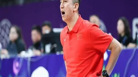 2026年美加墨世界杯